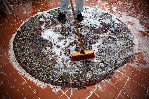 Maintenance Tips for Area Rugs and Carpets